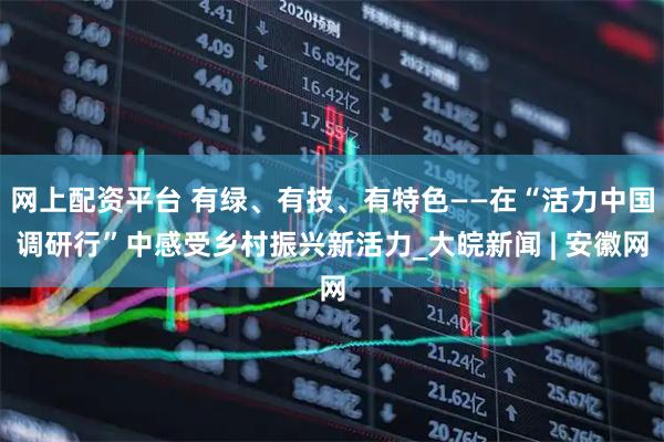 网上配资平台 有绿、有技、有特色——在“活力中国调研行”中感受乡村振兴新活力_大皖新闻 | 安徽网